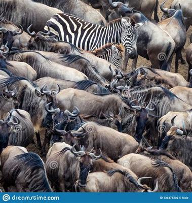 菏澤地區(qū)網(wǎng)絡(luò)游戲修改及網(wǎng)絡(luò)技術(shù)開發(fā)必讀指南